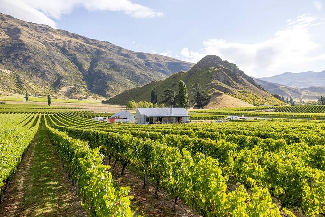 Queenstown Wine & Food Tour: Scenery, Tastings & Delicious Lunch! - The $154.52 price and what you receive