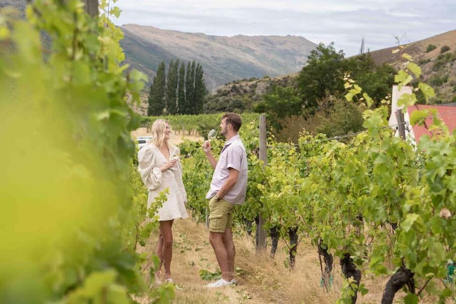 Queenstown: Wine & Food Tour, Scenic Tastings & Paired Lunch - The guides are a major part of the experience