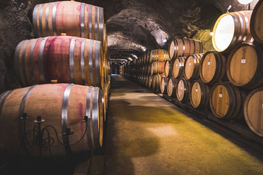 Queenstown: Wine Tasting Tour - Key points at a glance