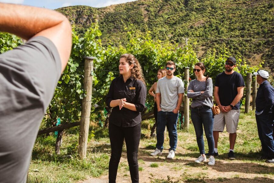 Queenstown: Wine Tasting Tour - The guide can make or break the day