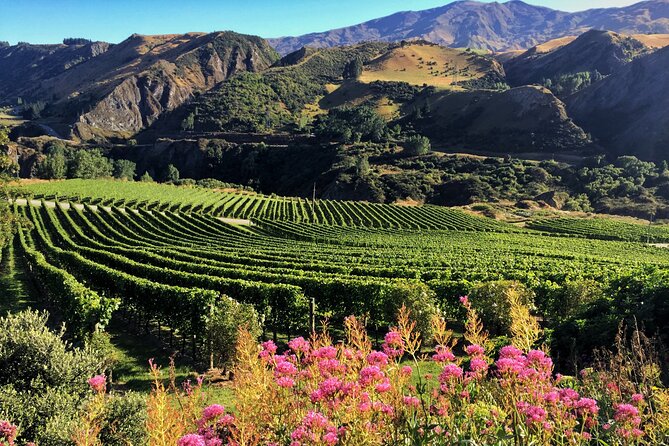Queenstown Wine Tour - The scenery between tastings