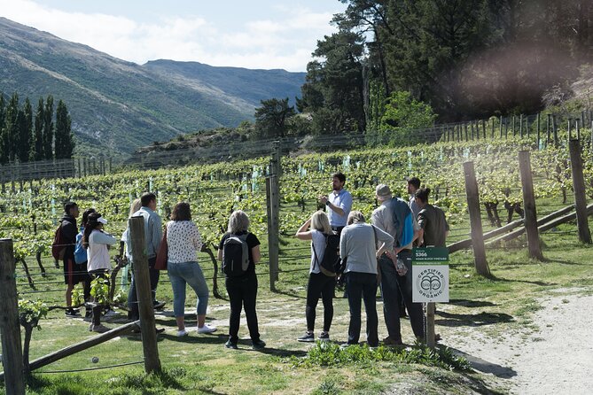 Queenstown Wine Tour - Gibbston Valley Cave | Kinross | Amisfield - Key points at a glance