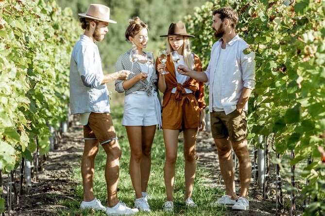 Queenstown Wine Tour - Gibbston Valley Cave | Kinross | Amisfield - The drive through Gibbston Valley
