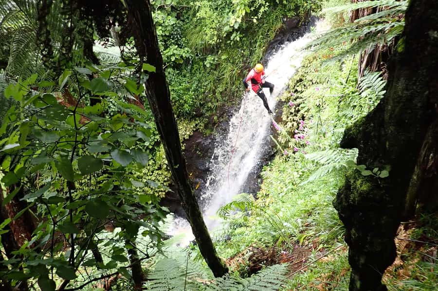 Raglan: Karioi Canyoning - Key points at a glance
