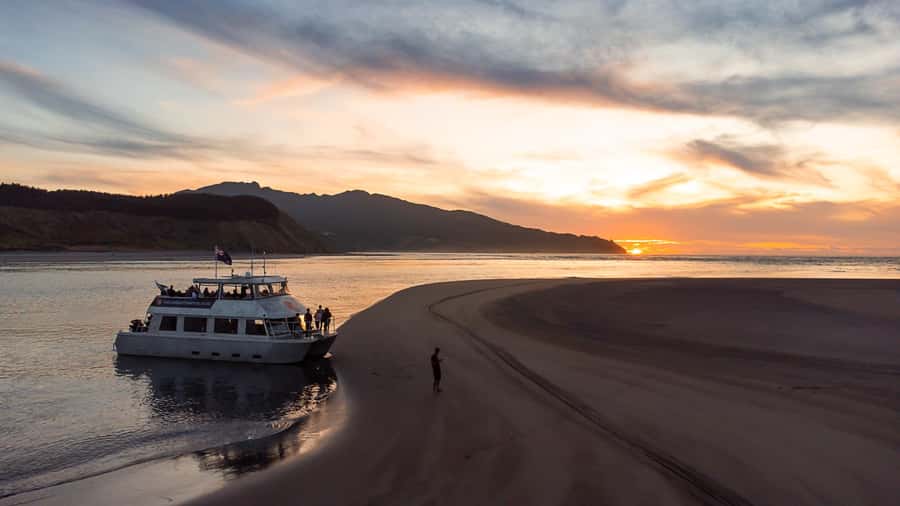 Raglan: Scenic Harbour Sunset Cruise - Why Raglan Harbour is worth seeing by boat