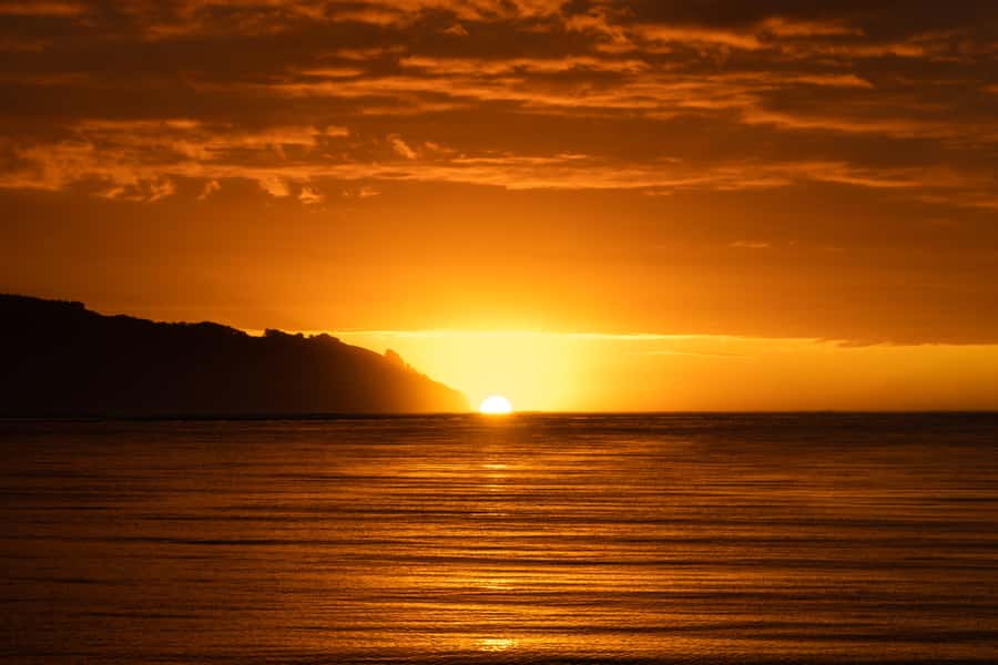 Raglan: Scenic Harbour Sunset Cruise - Food and timing for an evening out