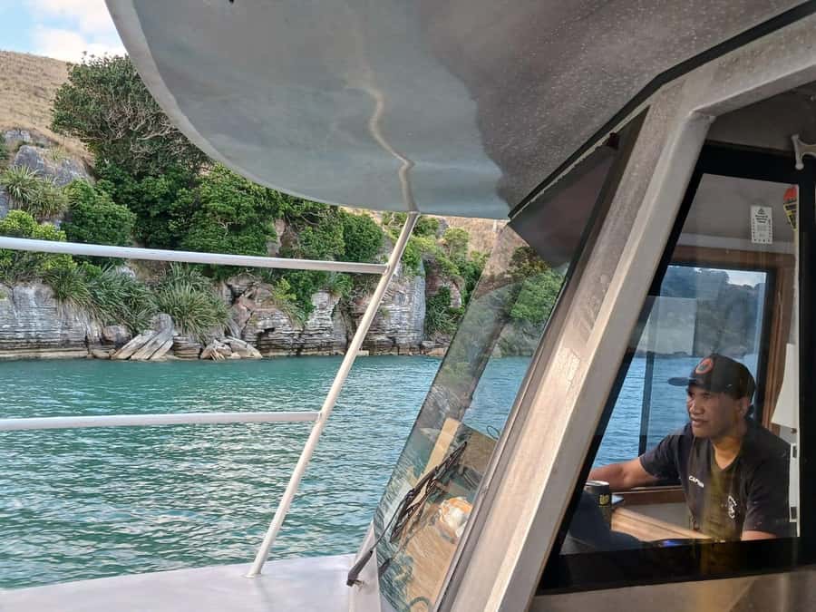 Raglan: Scenic Harbour Sunset Cruise - Is the Raglan sunset cruise worth booking?