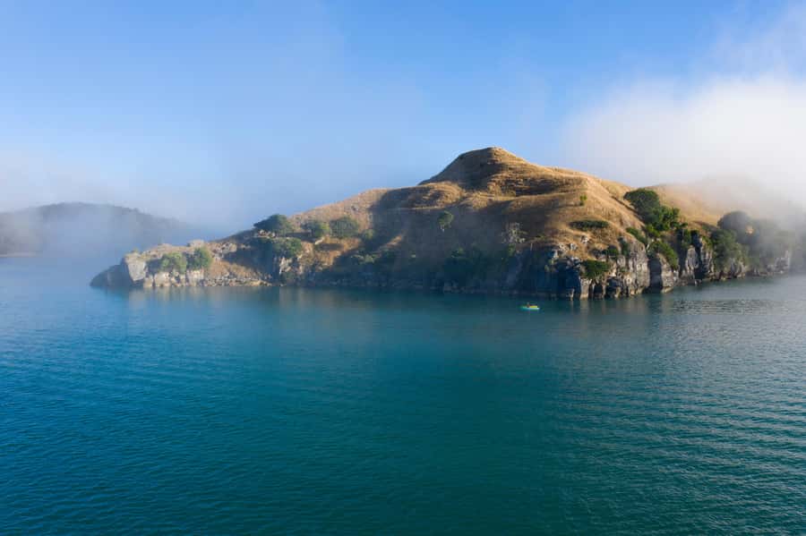 Raglan: Scenic Nature Boat Cruise - Key points to know before you book