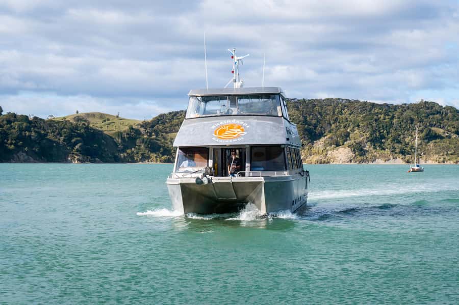 Raglan: Scenic Nature Boat Cruise - Why Raglan Harbour is best seen from the water