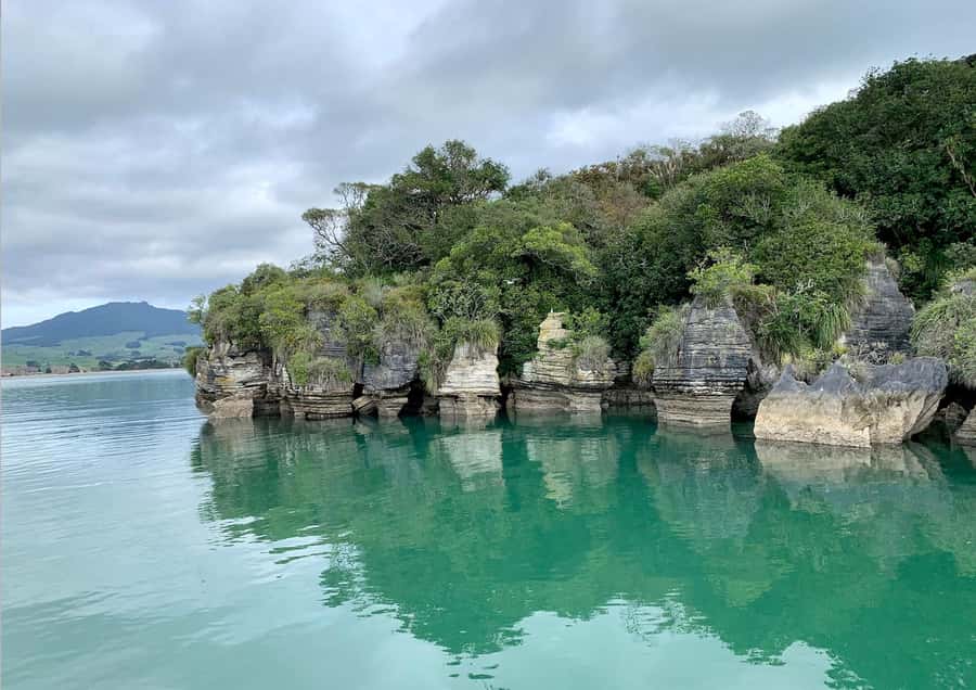 Raglan: Scenic Nature Boat Cruise - The first 30 minutes: harbour views and coastal farmland