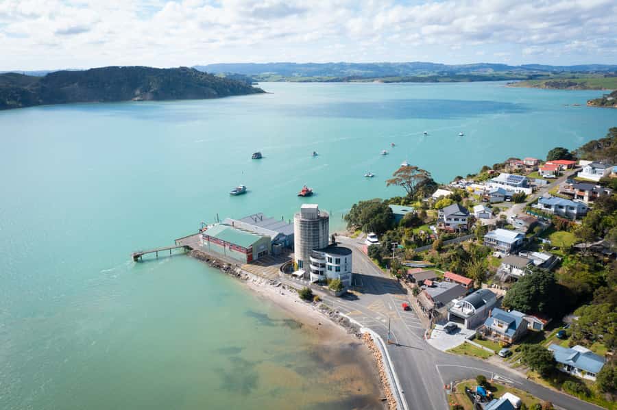 Raglan: Scenic Nature Boat Cruise - Who should book this cruise?