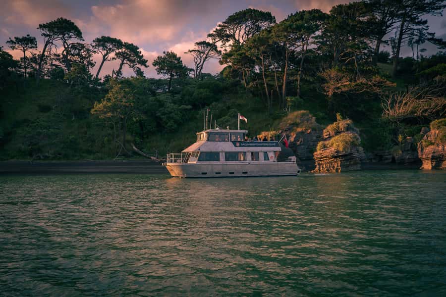 Raglan: Scenic Nature Boat Cruise - Starting at Raglan Wharf aboard the Wahinemoe