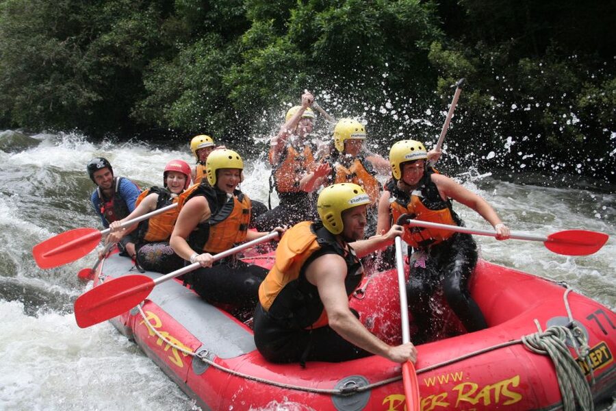 Rangitaiki Rafting Grade 3-4 - What the Rangitaiki rafting day is really like