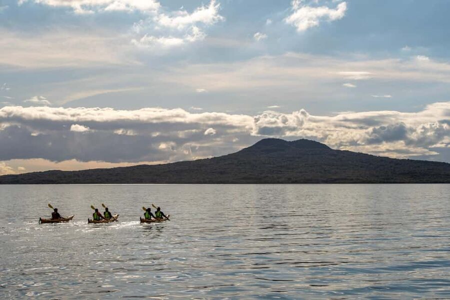 Rangitoto Island: Sea Kayak & Summit Hike Day Trip - Key points to know before booking