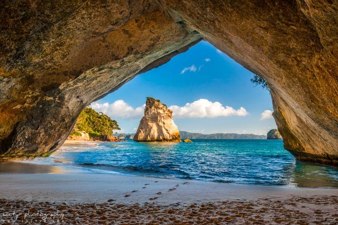 Redwood Forest , Blue Springs & Huka Falls Day Tour from Auckland - Who should book this North Island sampler?