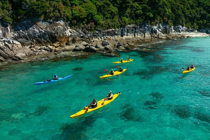 Remote Marine Reserve - Guided Kayaking - New Zealand - Why the tide-led plan works so well