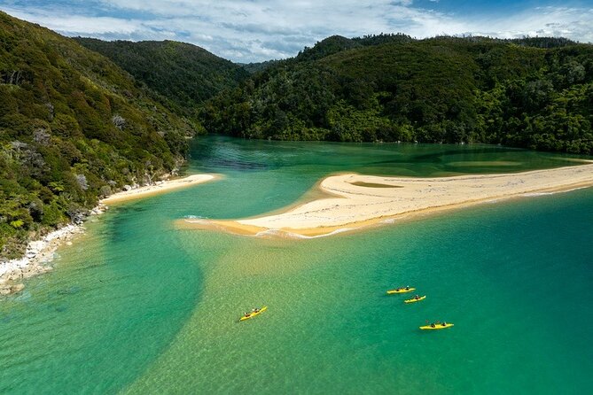 Remote Marine Reserve - Guided Kayaking - New Zealand - Tonga Island Marine Reserve and the seal encounter