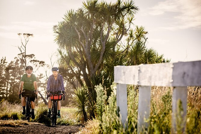 Remutaka Rail Trail eBike Explorer Cycle Tour - The summit picnic is more than a lunch stop