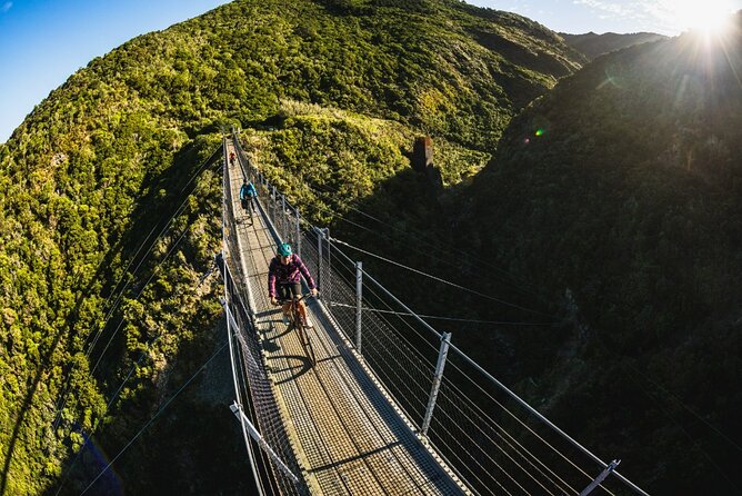 Remutaka Rail Trail eBike Explorer Cycle Tour - Through Pakuratahi Forest on the old railway line