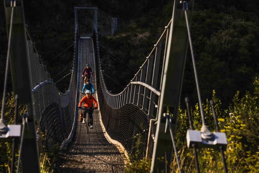 Remutaka Rail Trail eBike Shore Excursion for Cruise Ships - Key points for deciding quickly