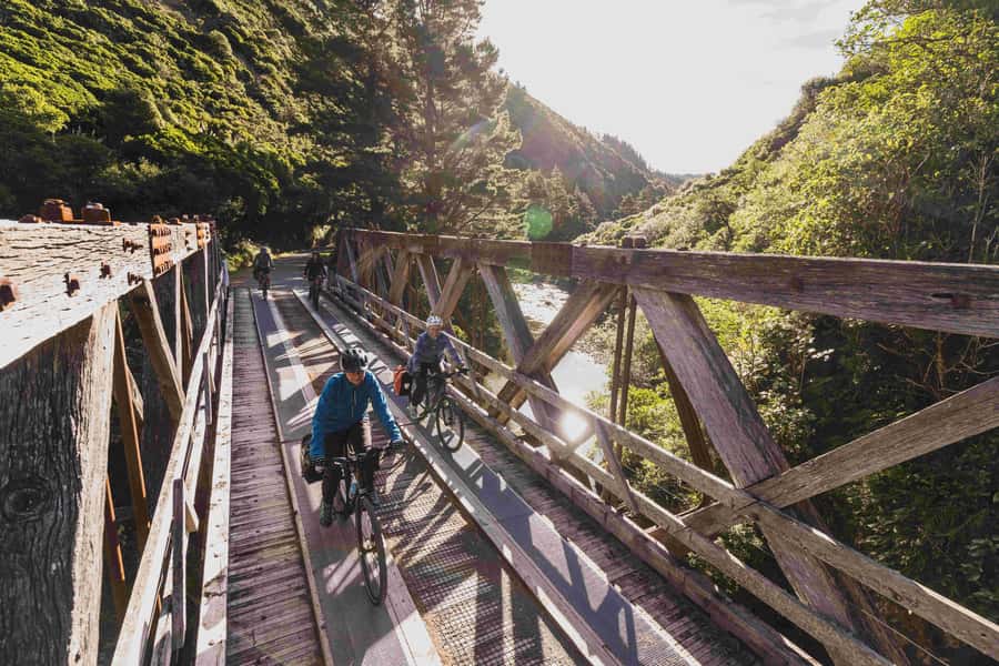 Remutaka Rail Trail eBike Shore Excursion for Cruise Ships - The descent to Cross Creek