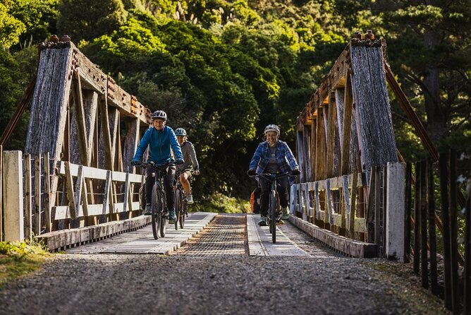 Remutaka Rail Trail Explorer - eBike Cruise Ship Shore Excursion - Key points to know before you book