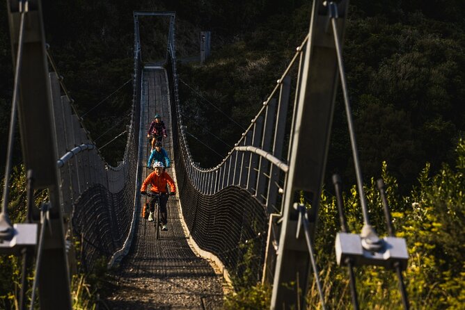 Remutaka Rail Trail Explorer - eBike Cruise Ship Shore Excursion - The final kilometres require more attention