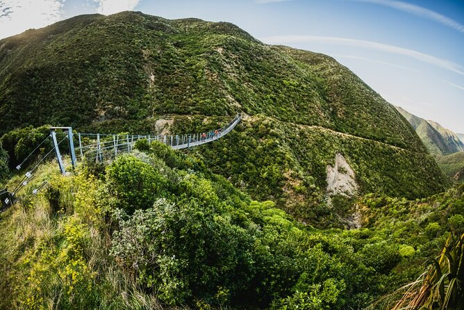 Remutaka Rail Trail Mountain Bike Explorer Cycle Tour - Key points to know before booking