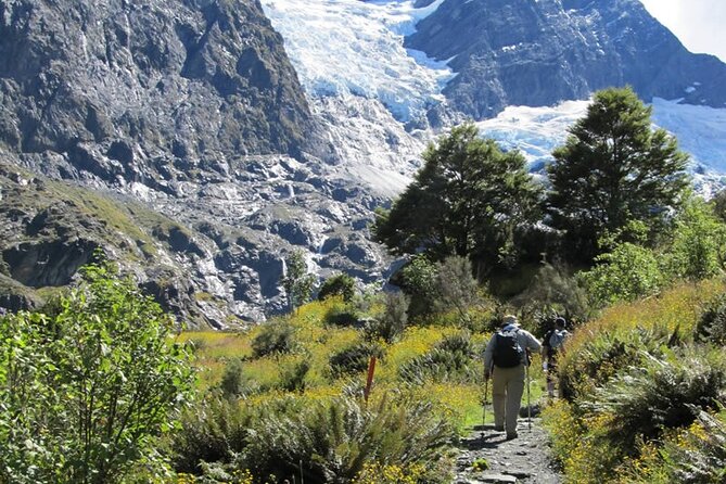 Rob Roy Glacier Guided Walk - Why this Rob Roy Glacier day works so well