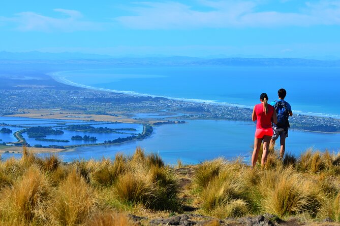 Rock Climbing Christchurch 1/2-day or full-day (Small Group Tour) - What the $185.55 price is really buying