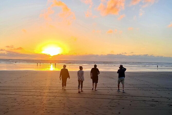 Romantic Auckland Sunset tour with Winery & Thermal pool - Is $279.26 good value?