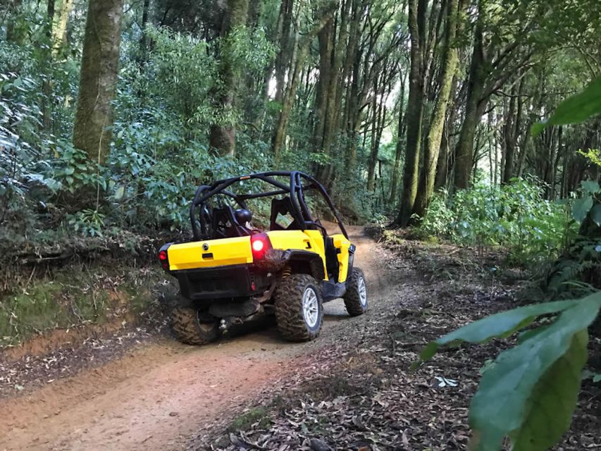 Rotorua: 4×4 Self-Drive Buggy Tour Through Farm and Bushland - Taking the wheel outside Rotorua