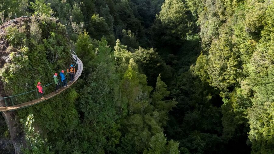 Rotorua: 6 Ziplines, 400m Tandem, Cliff Walk & Swing Bridges - Six ziplines, from warm-up to 400m race