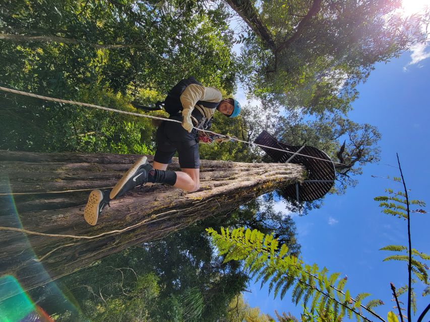 Rotorua: 6 Ziplines, 400m Tandem, Cliff Walk & Swing Bridges - Weather, clothing, and practical comfort