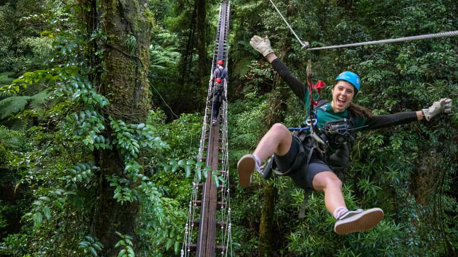 Rotorua: 6 Ziplines, Swing-Bridges & Wildlife Encounters - Swing bridges and treetop platforms