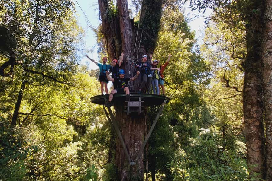 Rotorua: 6 Ziplines, Swing-Bridges & Wildlife Encounters - Why the small group matters