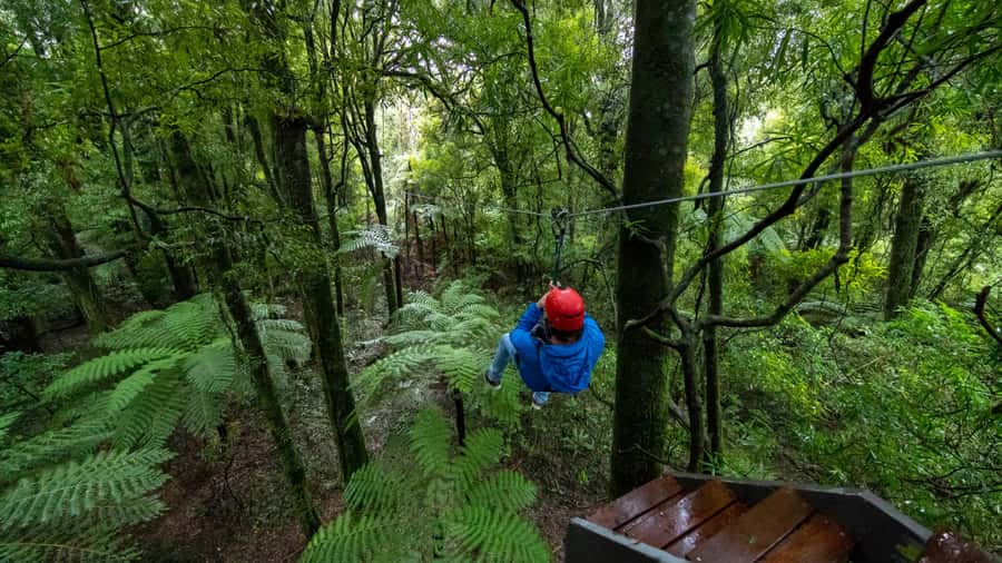 Rotorua: 6 Ziplines, Swing-Bridges & Wildlife Encounters - Weather, clothing, and physical demands