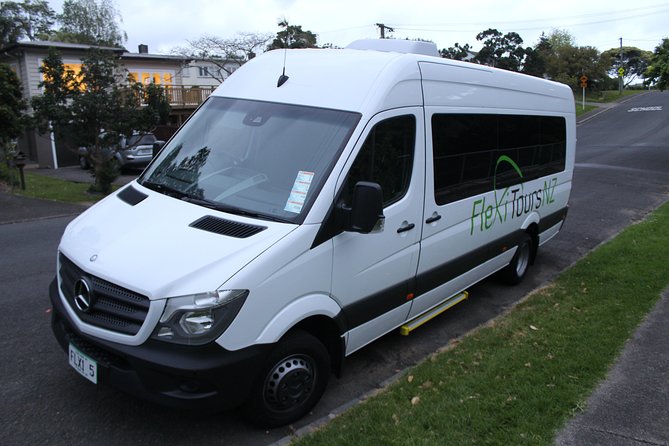 Rotorua and Waitomo Caves Day Trip from Auckland -Smaller Groups - Waitomo’s glowworms are the day’s most unusual sight