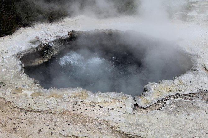 Rotorua and Waitomo Caves Day Trip from Auckland -Smaller Groups - Who should book this Auckland day trip?