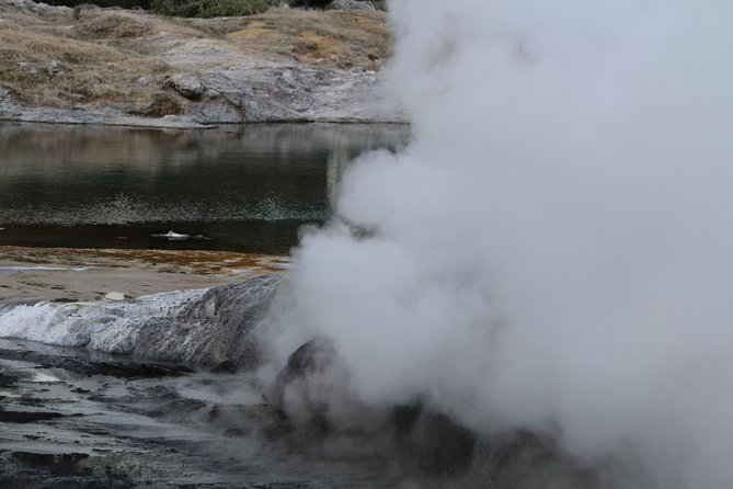 Rotorua and Waitomo Caves Day Trip from Auckland -Smaller Groups - Should you book it?