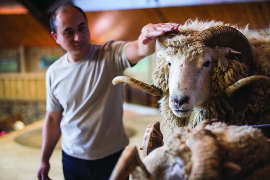 Rotorua: Authentic Kiwi Farm Experience at the Agrodome - Is $38 a good price?