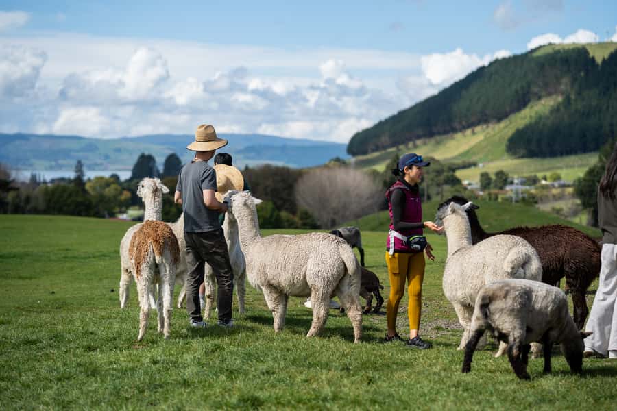 Rotorua: Authentic Kiwi Farm Experience at the Agrodome - Riding across the farm with Jack, Sarah, or Jamie