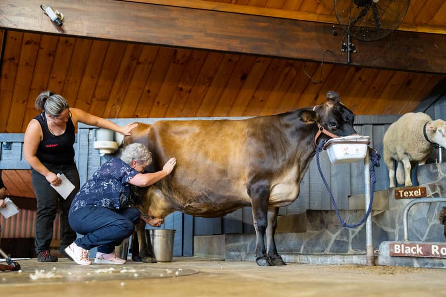 Rotorua: Authentic Kiwi Farm Experience at the Agrodome - Orchard views, kiwifruit juice, and farm honey