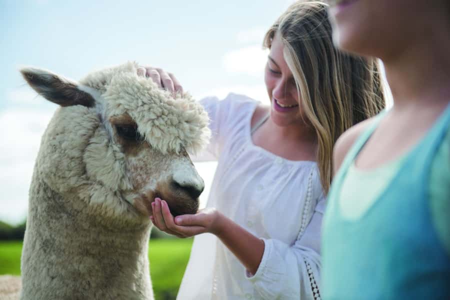 Rotorua: Authentic Kiwi Farm Experience at the Agrodome - What to wear and how the timing works