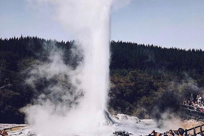 Rotorua based Small Group Morning Tour Waimangu and Wai O Tapu - The guides make the difference