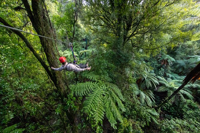 Rotorua Canopy Tours: 2.5Hour Native Forest Zipline Adventure - Flying through Rotorua’s living forest