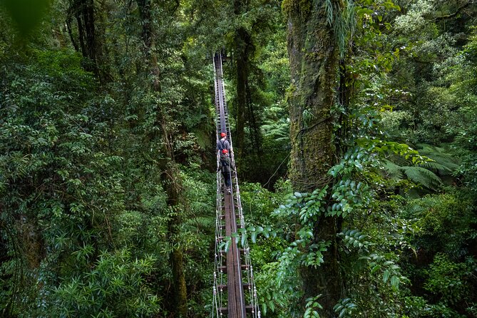Rotorua Canopy Tours: 2.5Hour Native Forest Zipline Adventure - The safety briefing is part of the value