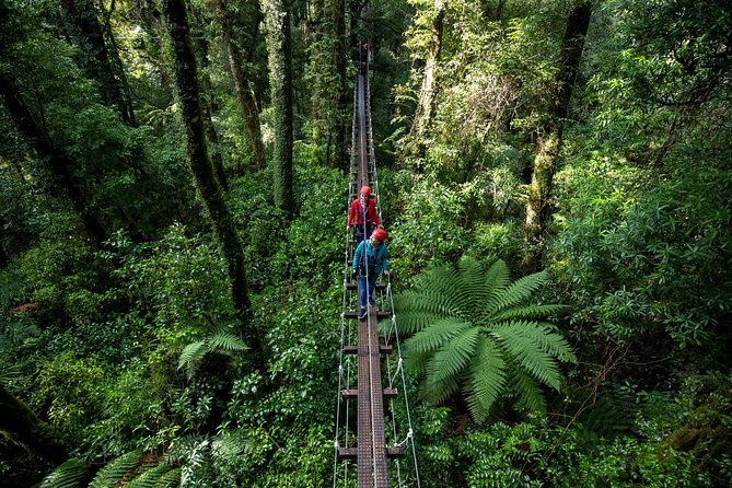 Rotorua Canopy Tours: 2.5Hour Native Forest Zipline Adventure - Ziplines, high bridges, and canopy views