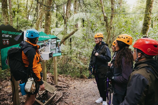 Rotorua Canopy Tours: 2.5Hour Native Forest Zipline Adventure - The conservation story gives the tour meaning