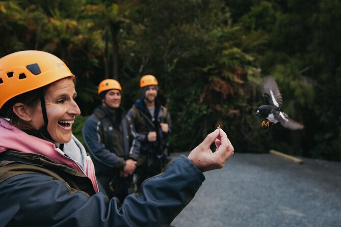 Rotorua Canopy Tours: 2.5Hour Native Forest Zipline Adventure - Why the guides matter so much